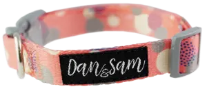 Dan & Sam – Dog – Adjustable Polyester Webbing Collar – Fabulous - Paws & Palettes