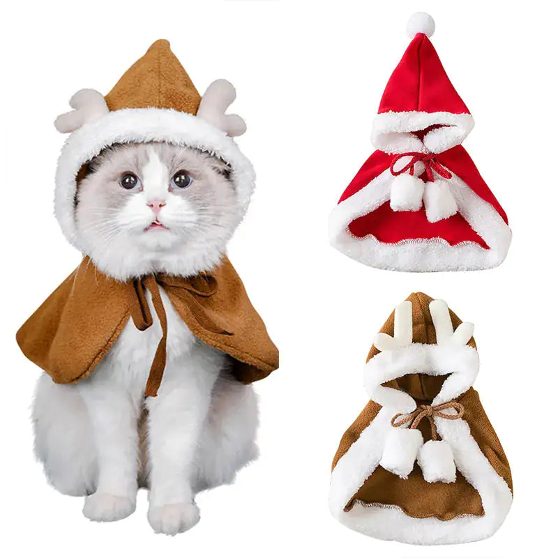 Festive Fur Holiday Attire - Paws & Palettes