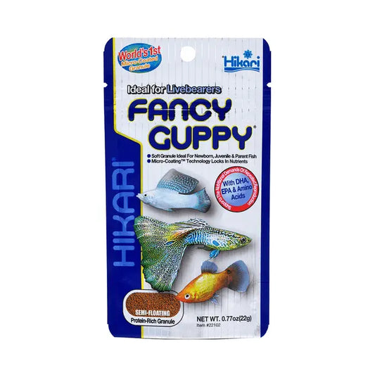 Hikari – Fancy Guppy - Paws & Palettes