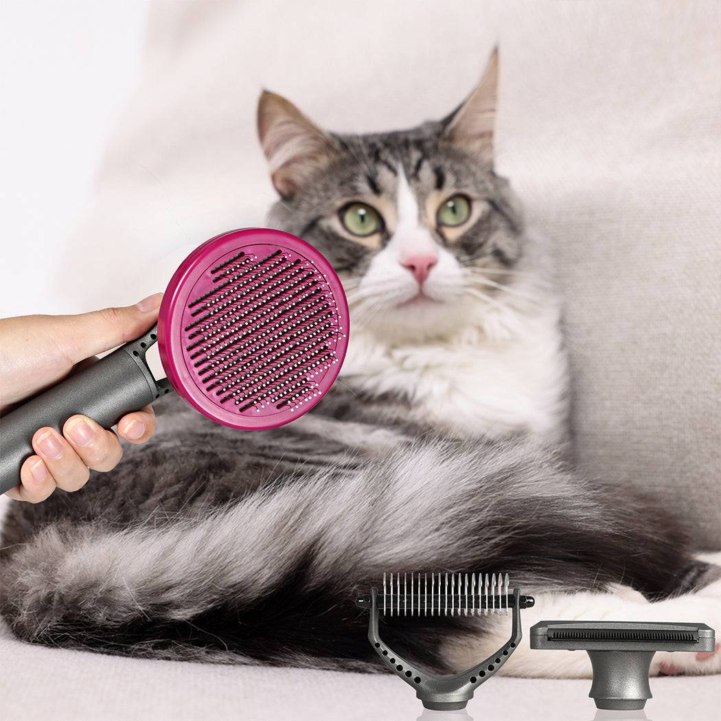 PaWz Pet Grooming Tools - Paws & Palettes