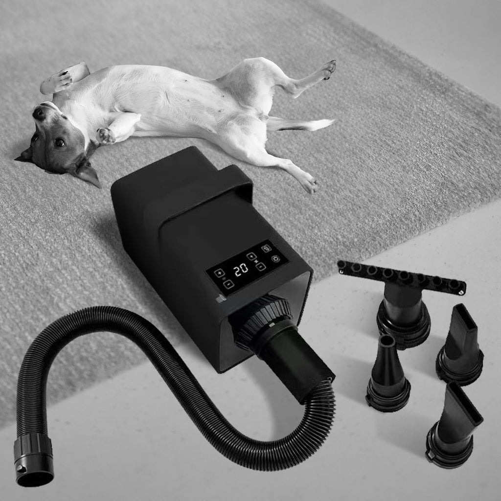 Floofi Pet Hair Dryer LED Black - Paws & Palettes