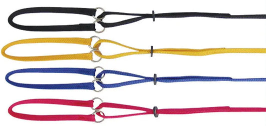 Beau Pets – Nylon – Single Nylon – Martingale - Paws & Palettes