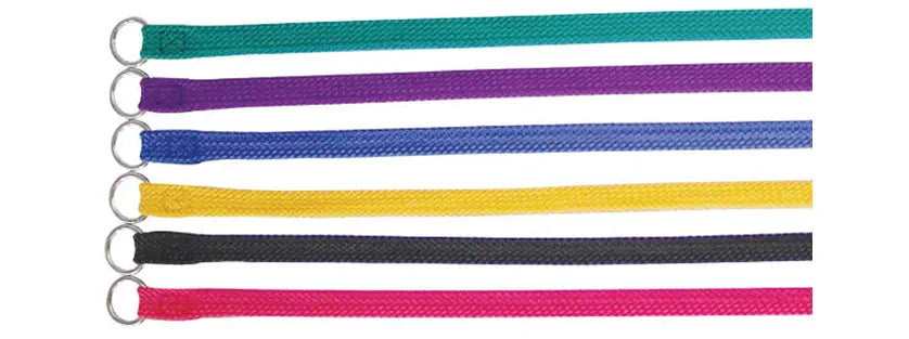 Beau Pets – Double Nylon – Choker Lead – Black - Paws & Palettes