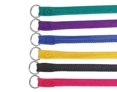 Beau Pets – Nylon – Single Nylon – Choker Lead – Purple - Paws & Palettes