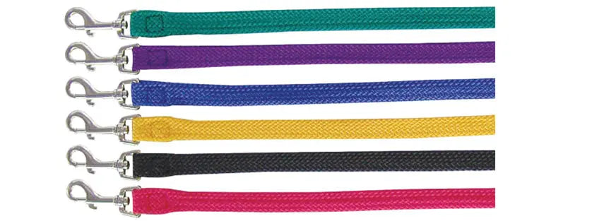 Beau Pets – Nylon – Single Nylon – Lead – Gold - Paws & Palettes