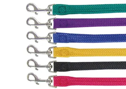 Beau Pets – Nylon – Single Nylon – Lead – Gold - Paws & Palettes