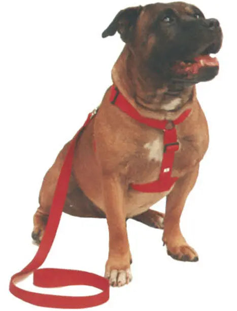 Beau Pets – Walking Harness – Red - Paws & Palettes