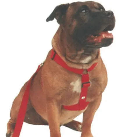 Beau Pets – Walking Harness – Red - Paws & Palettes