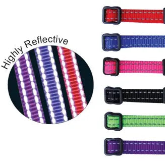 Beau Pets – Puppy – Collar – Reflective Thread – Adjustable - Paws & Palettes