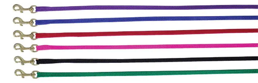Beau Pets – Puppy – Nylon Lead - Paws & Palettes