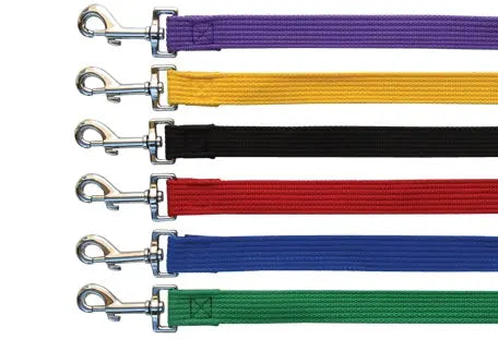 Beau Pets – Cotton Webbing Lead – Blue - Paws & Palettes